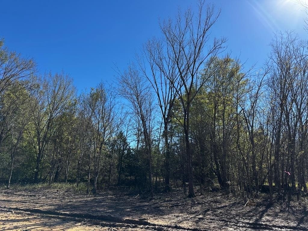 10 acres in Van Zandt County gallery image 3