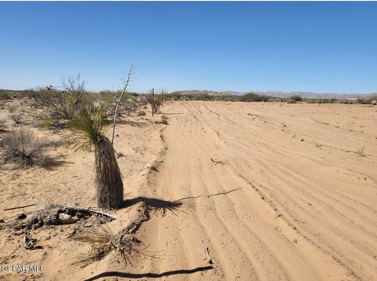 1.1 acres in El Paso County gallery image 2