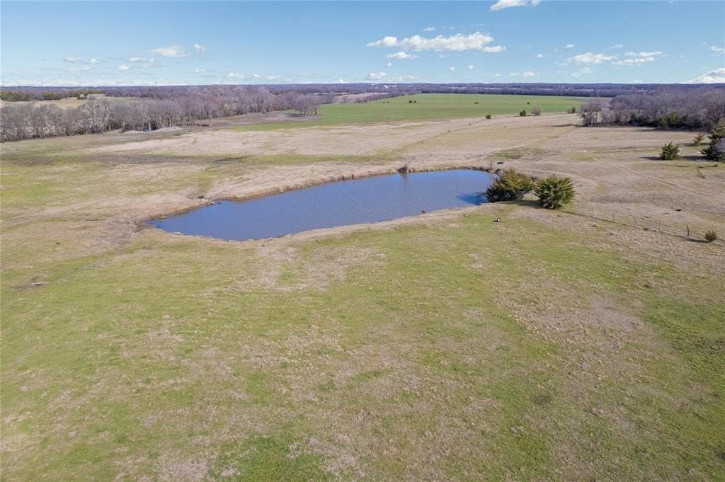 45.49 acres in Fannin County gallery image 4