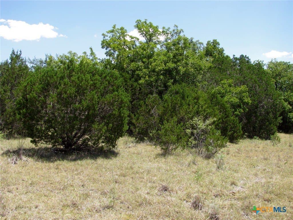 20 acres in Hamilton County - photo 7