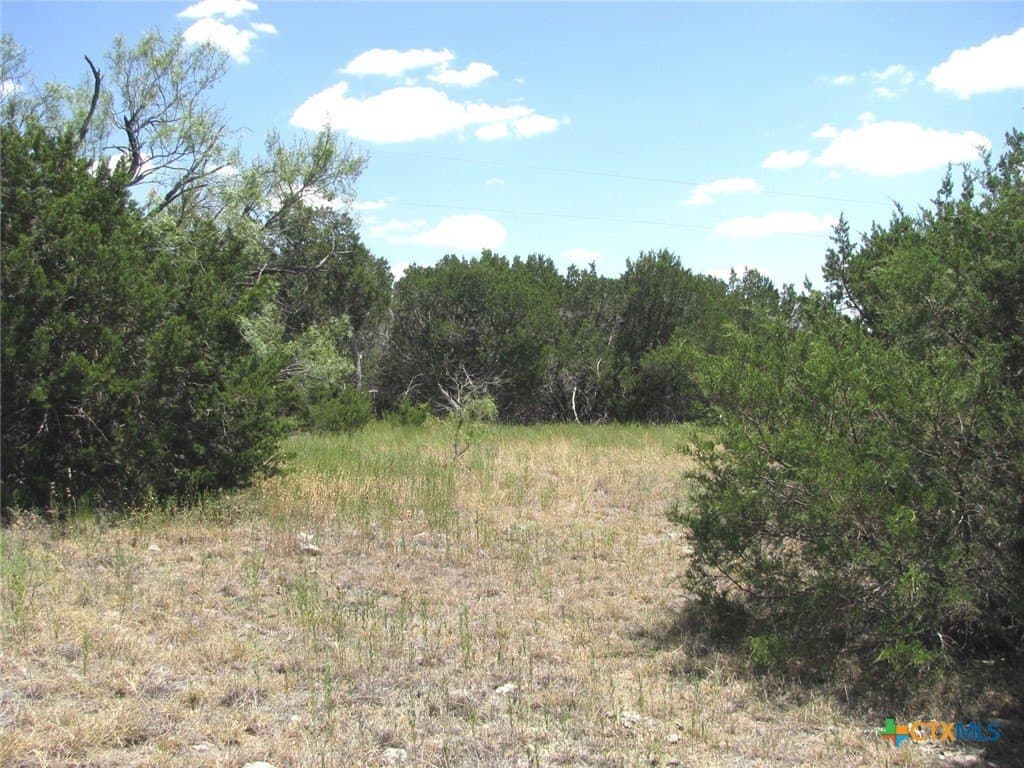 20 acres in Hamilton County - photo 12