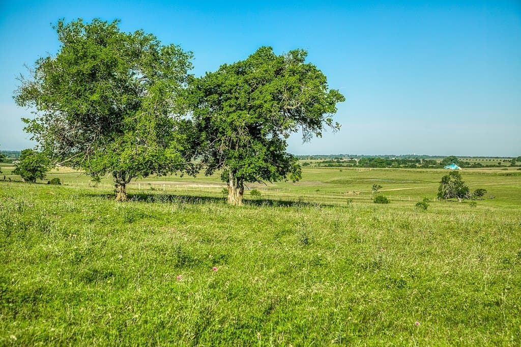 86.48 acres in Washington County - photo 6