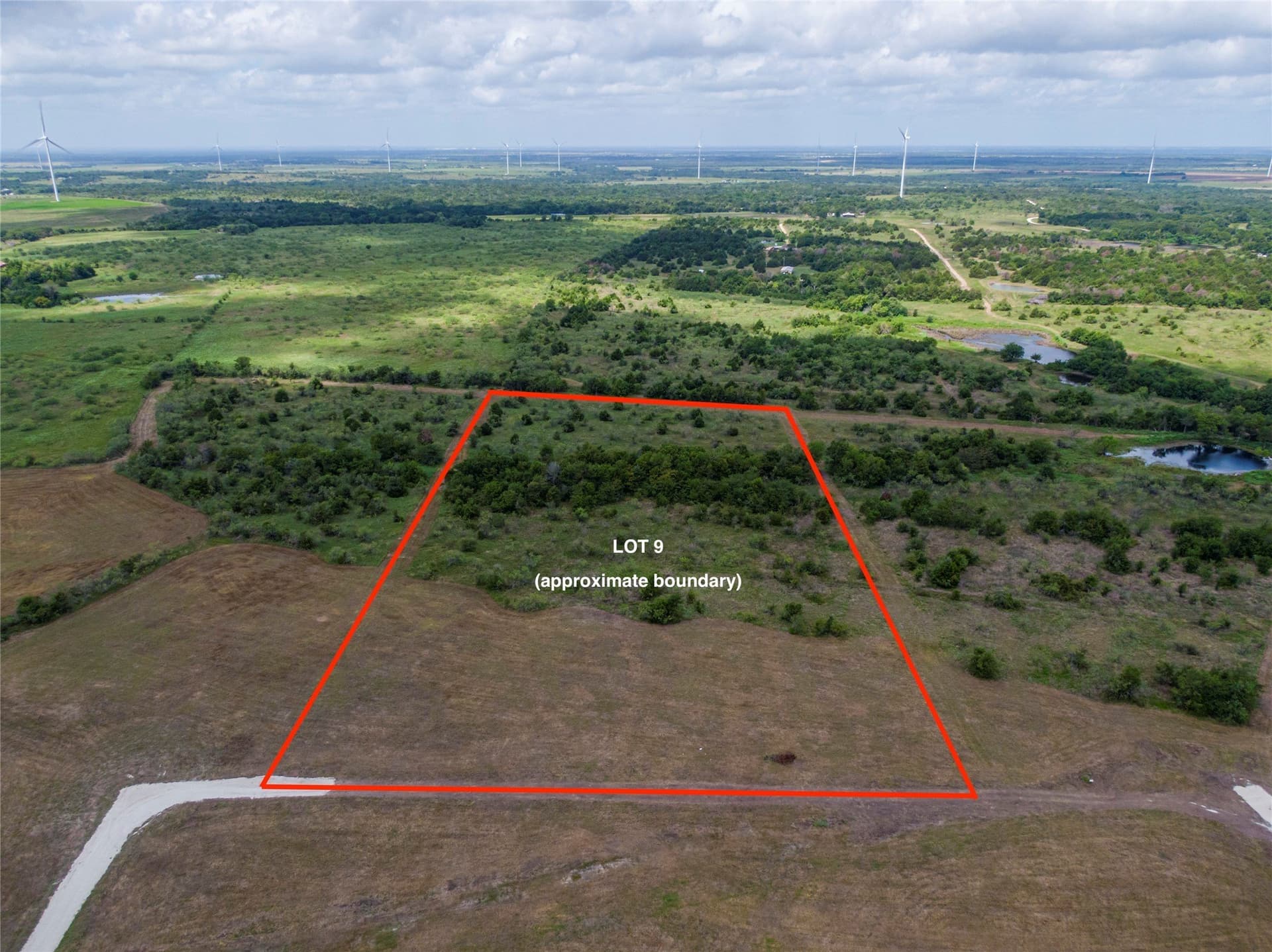10 acres in Limestone County - photo 3
