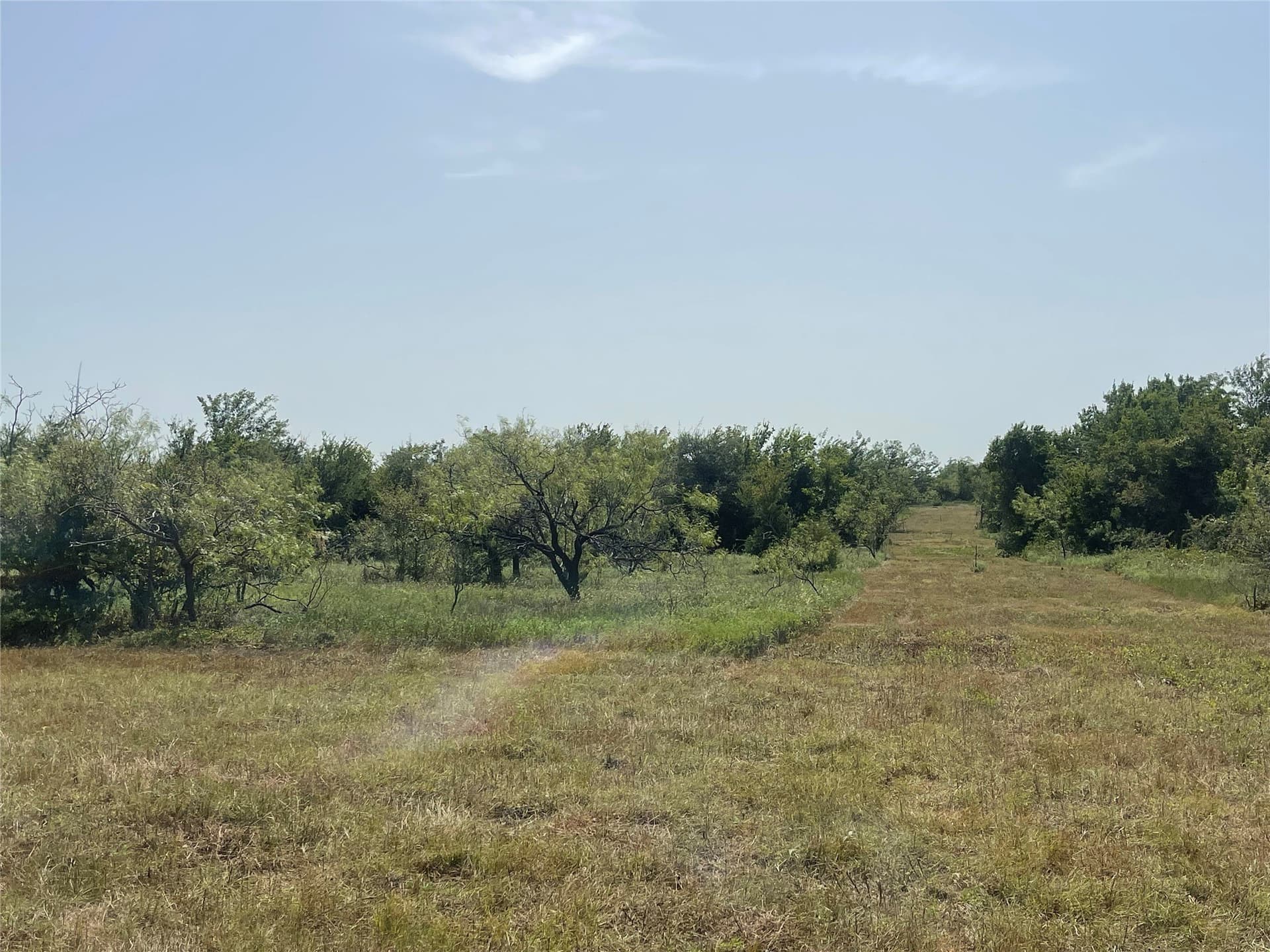 10 acres in Limestone County - photo 8