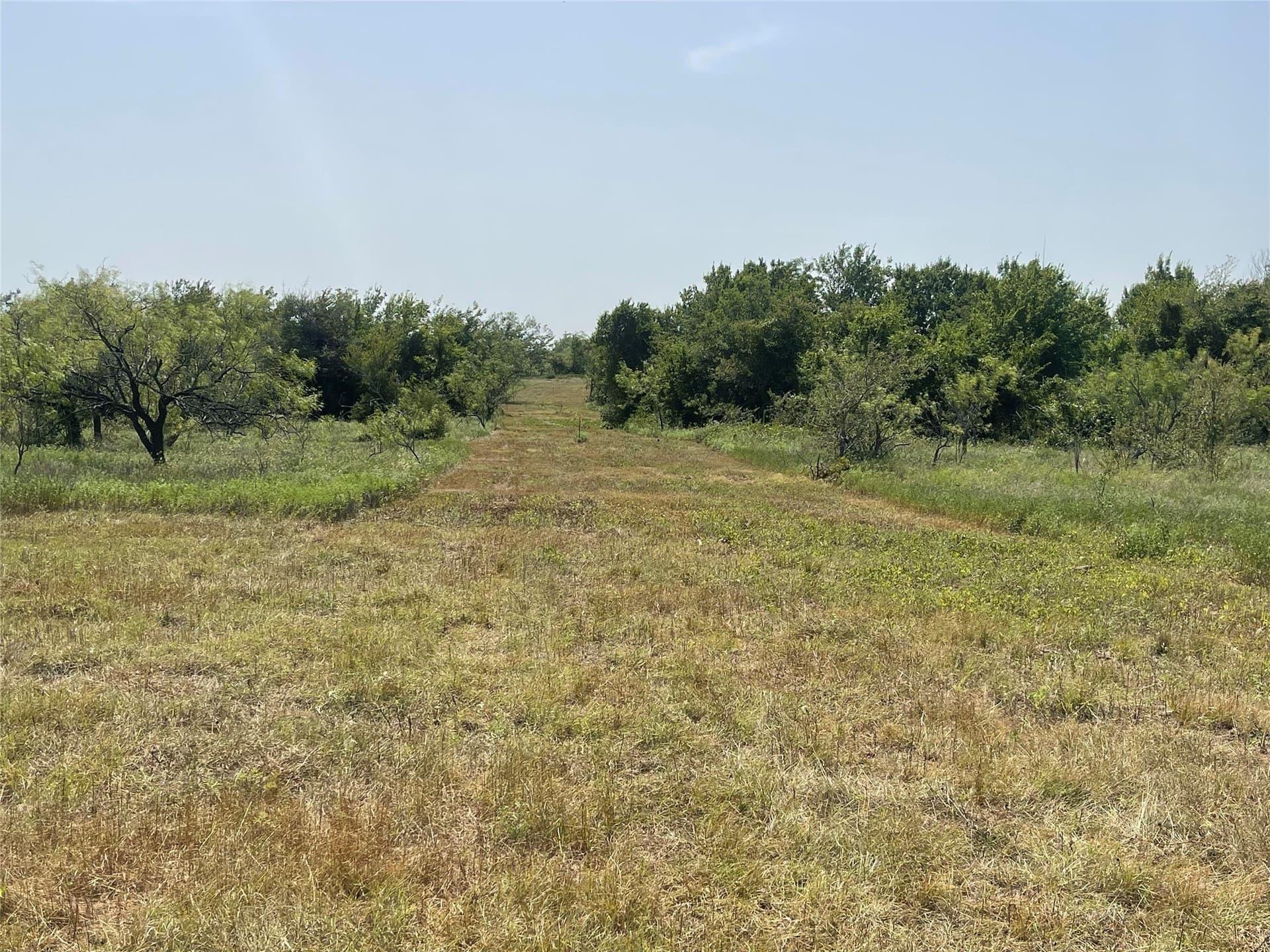 10 acres in Limestone County - photo 12