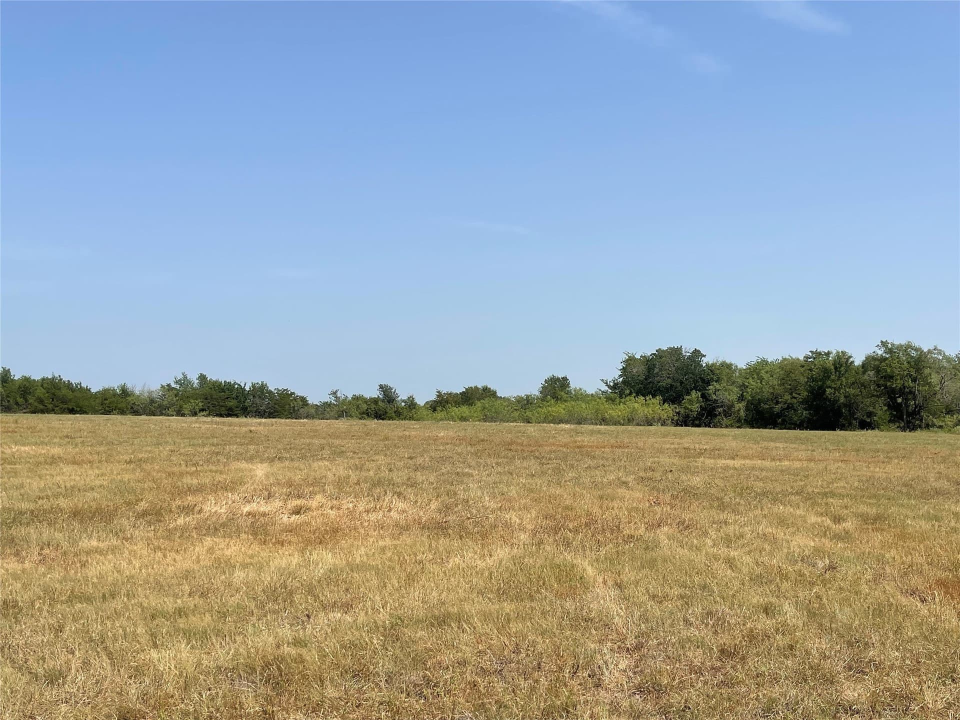 10 acres in Limestone County - photo 9