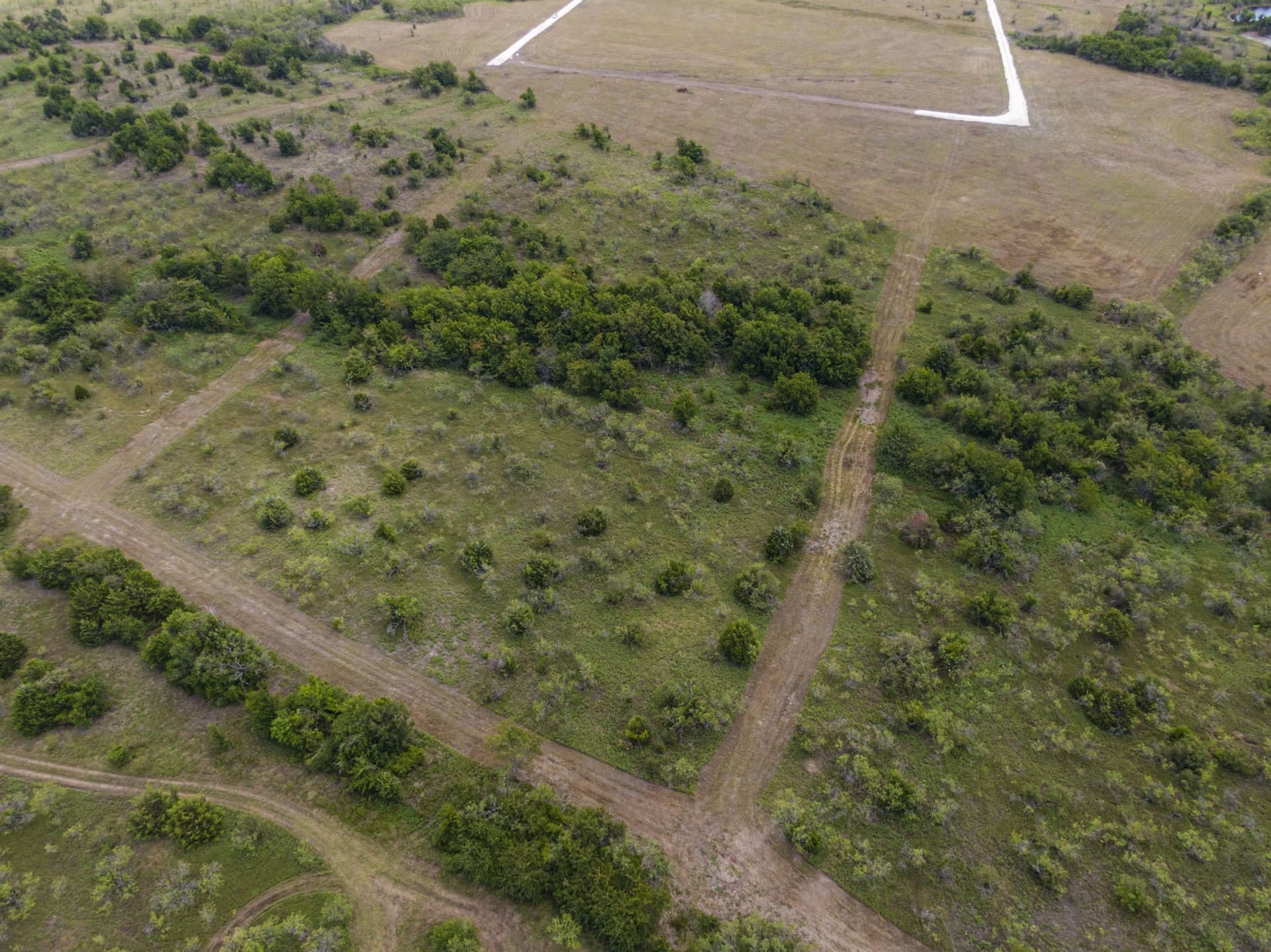 10 acres in Limestone County - photo 5