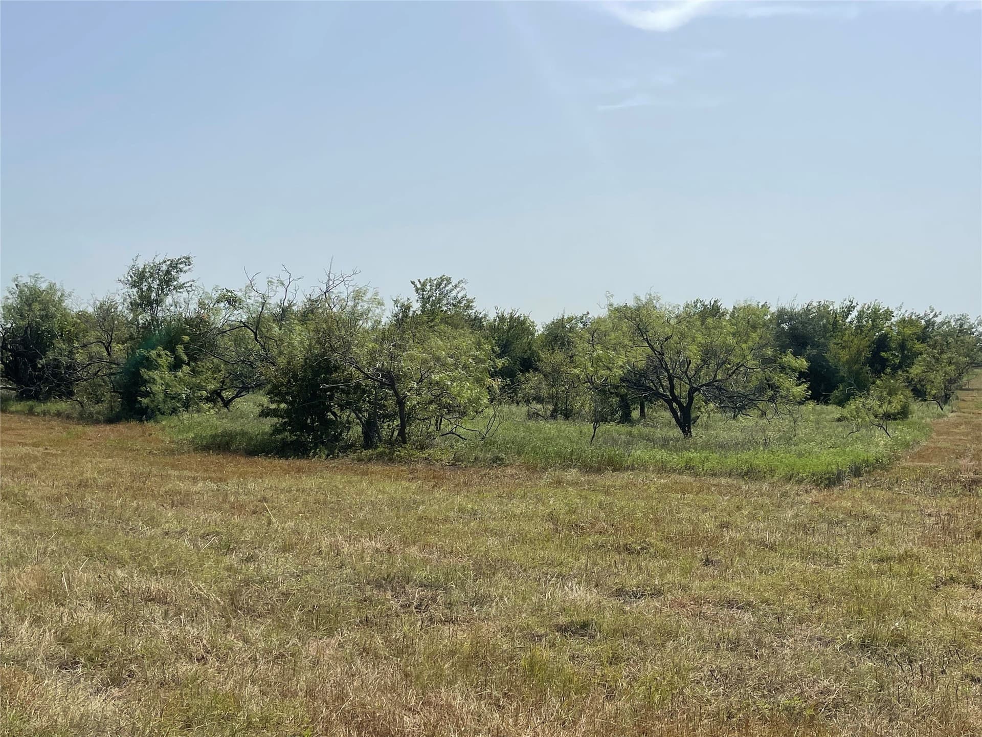 10 acres in Limestone County - photo 11