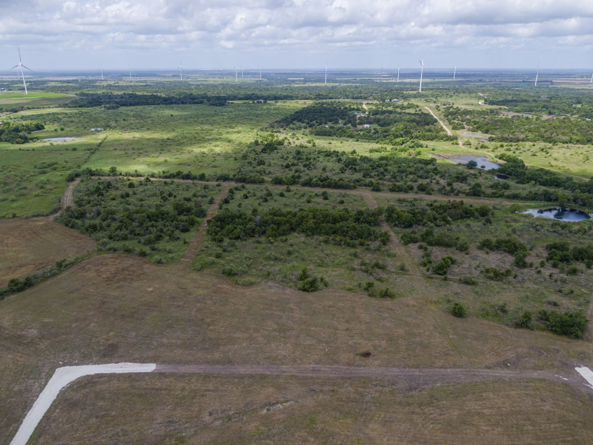 10 acres in Limestone County - photo 6