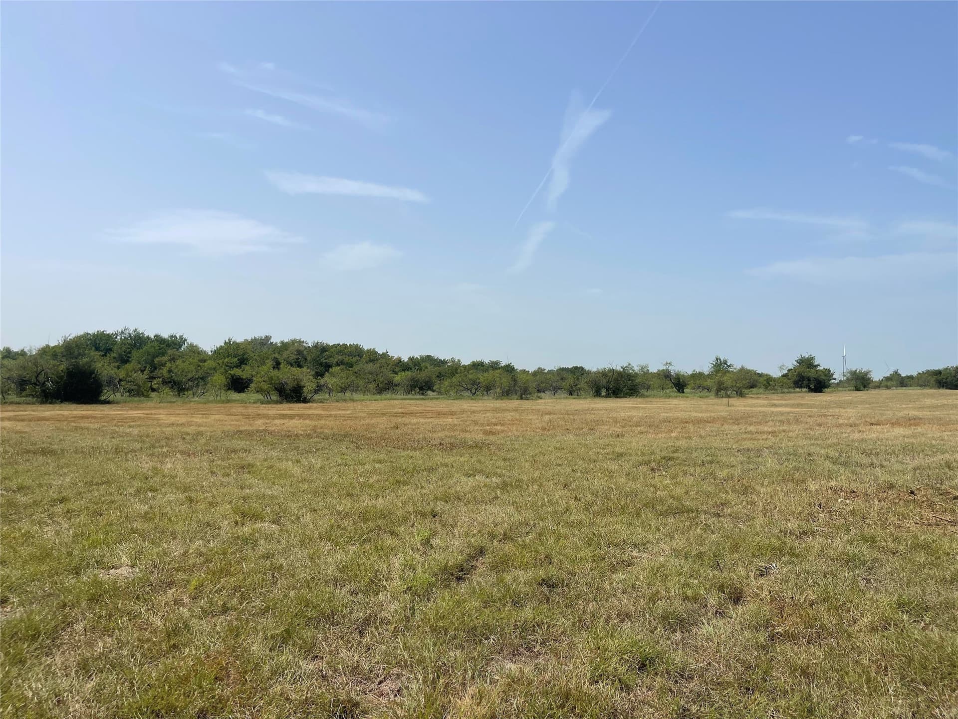 10 acres in Limestone County - photo 7