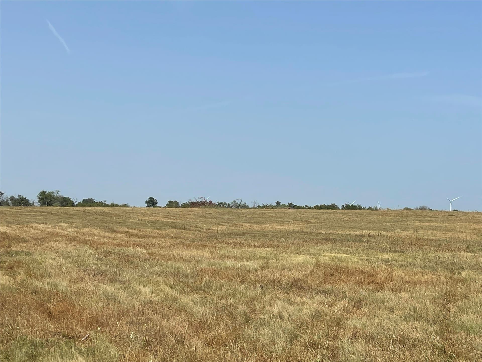 10 acres in Limestone County - photo 13