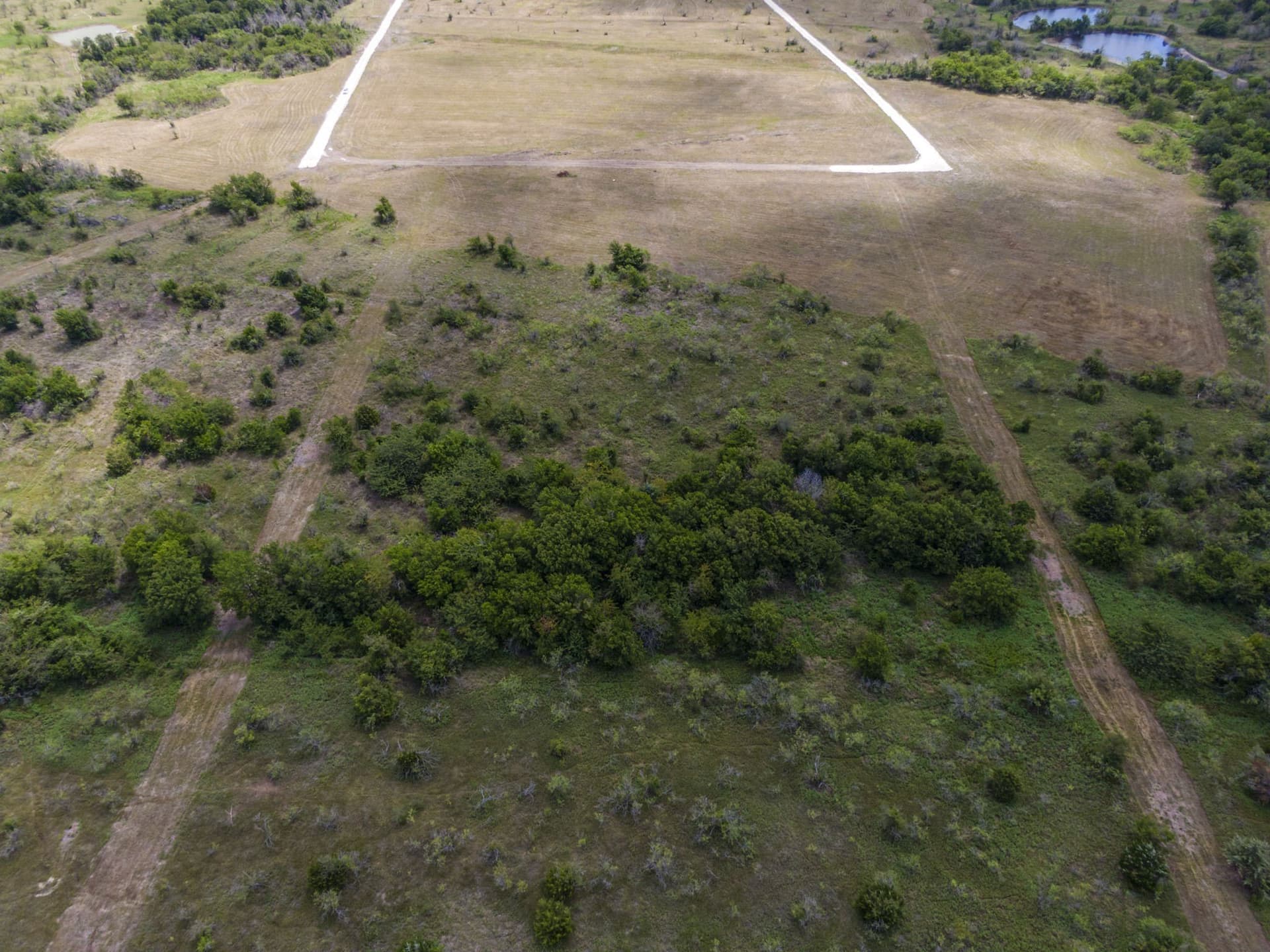10 acres in Limestone County - photo 4
