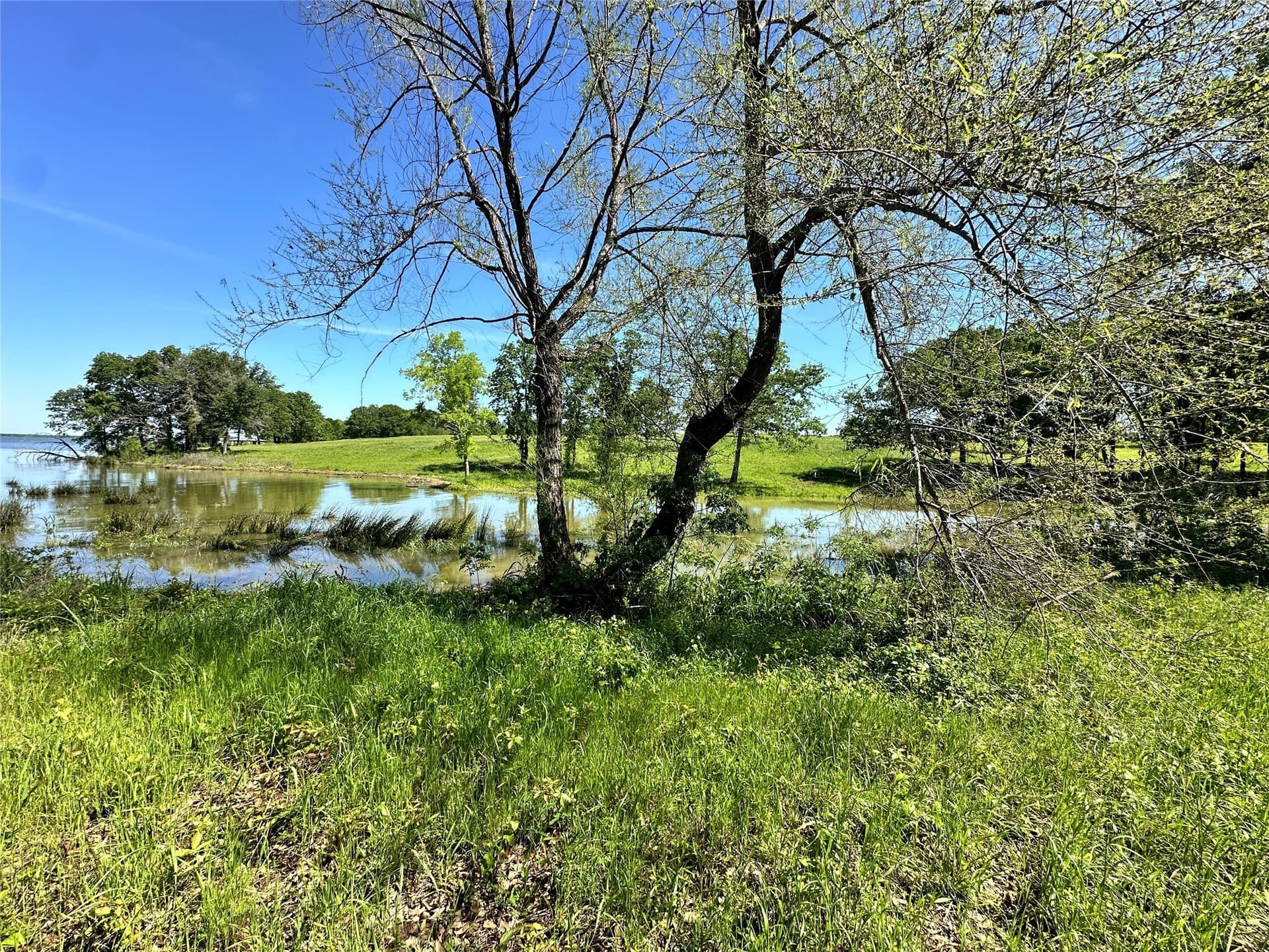 1.44 acres in Navarro County - photo 21