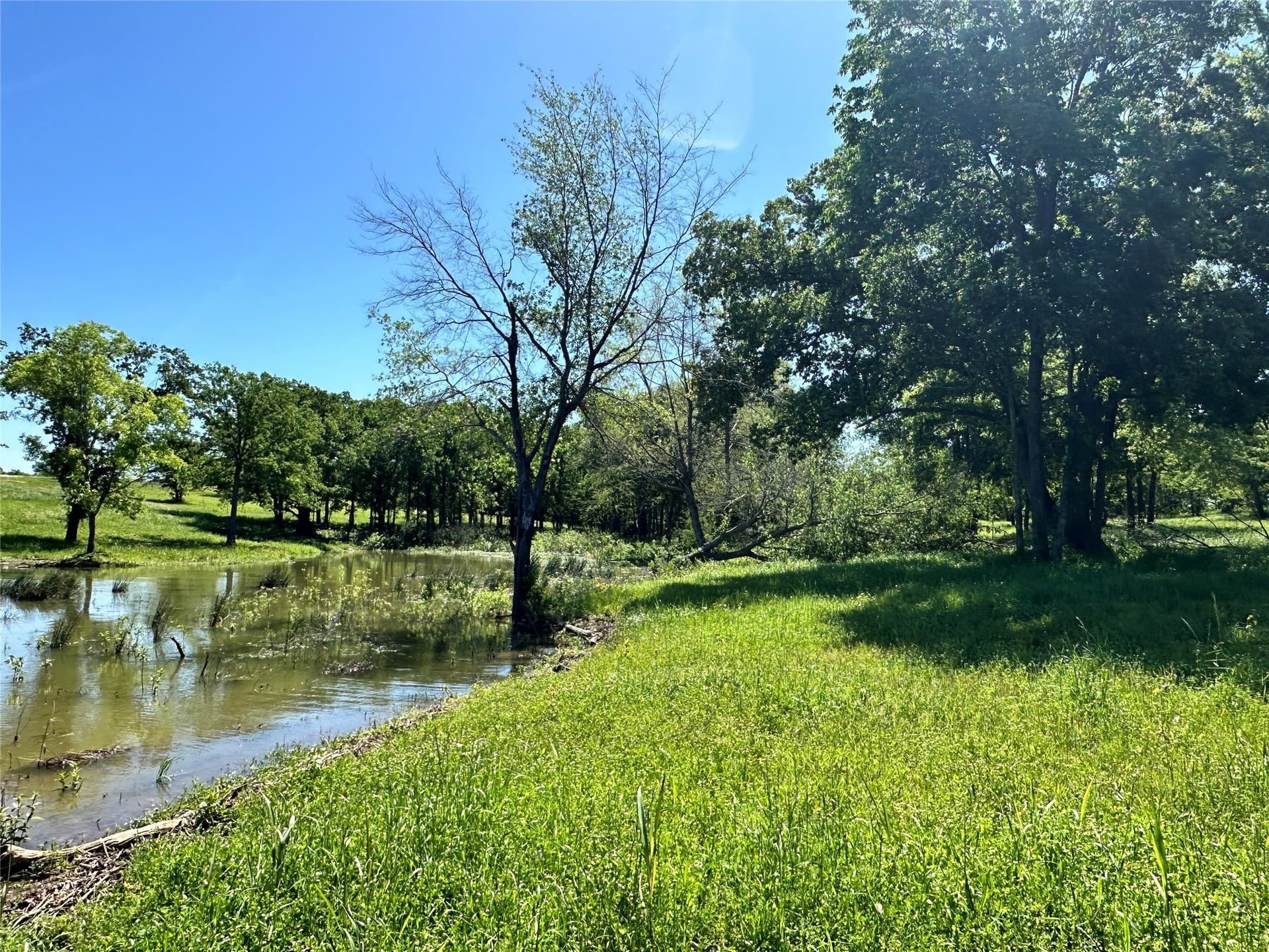 1.44 acres in Navarro County - photo 7