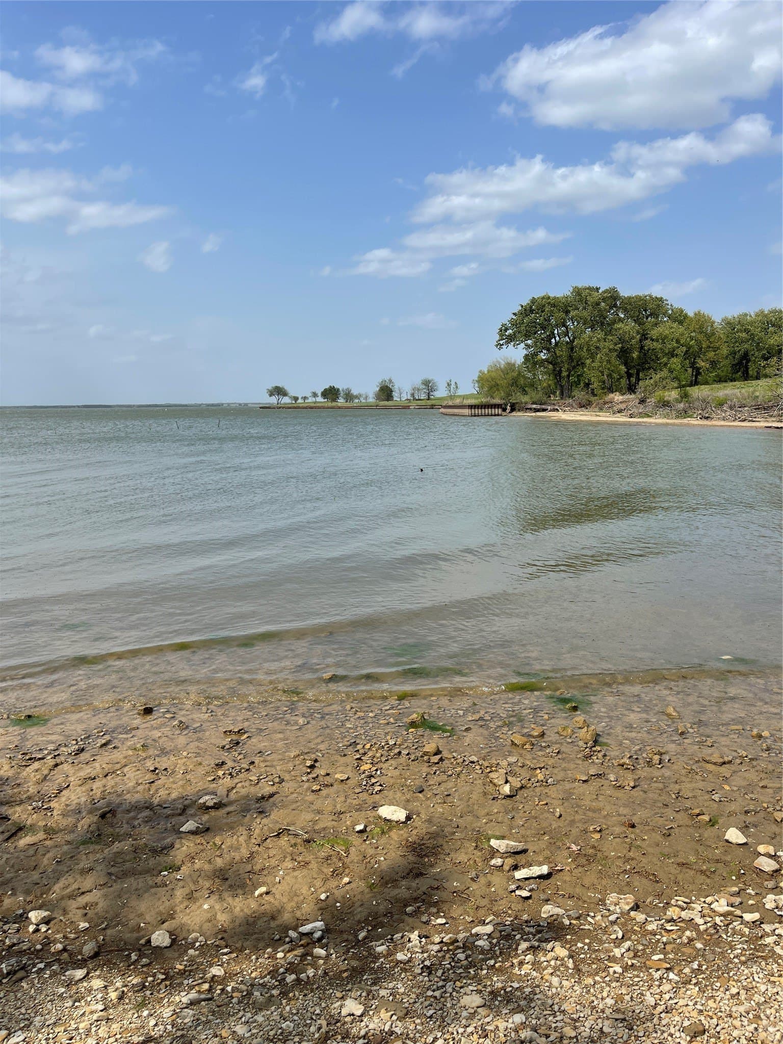 1.44 acres in Navarro County - photo 12
