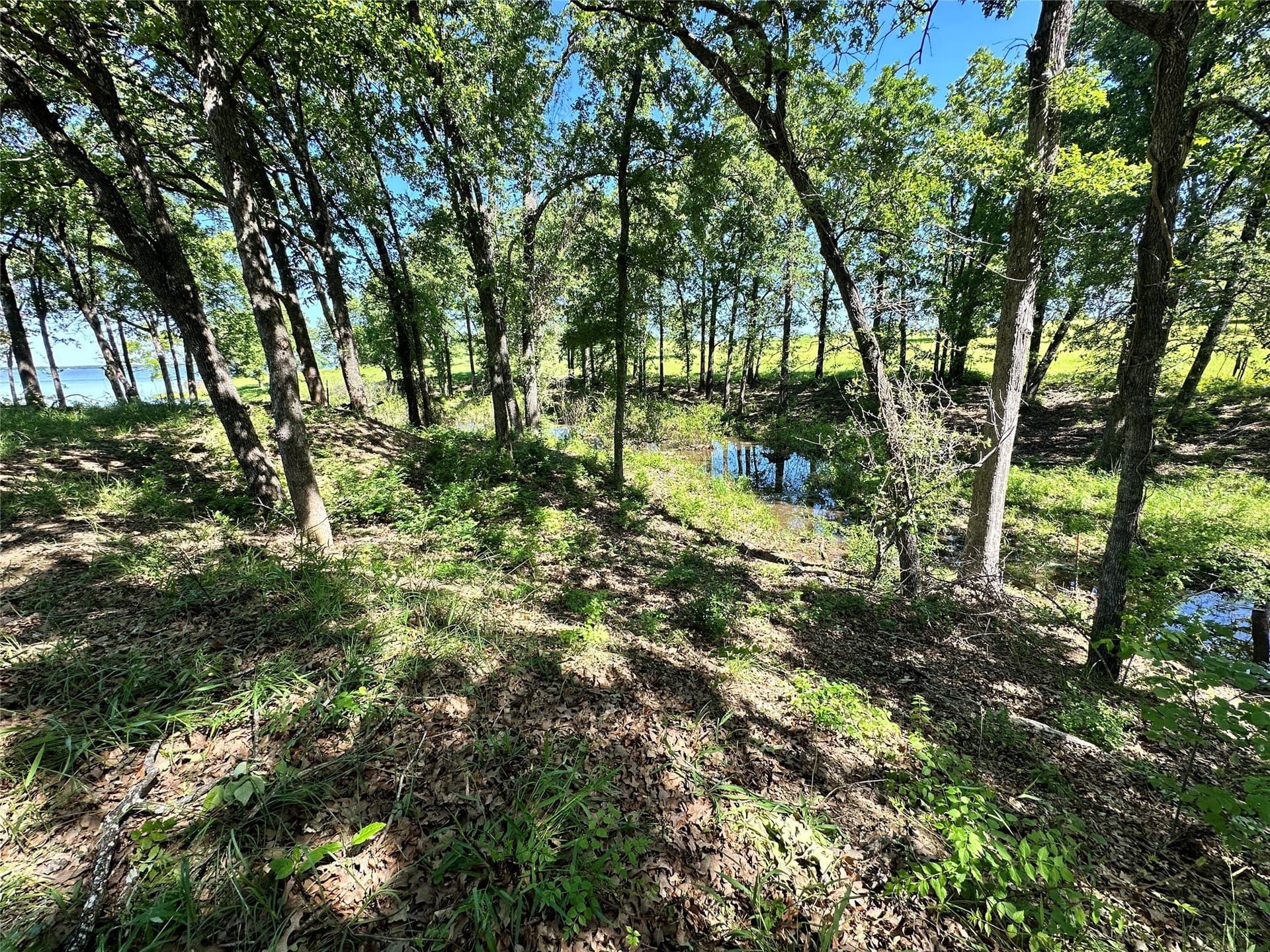 1.44 acres in Navarro County - photo 15