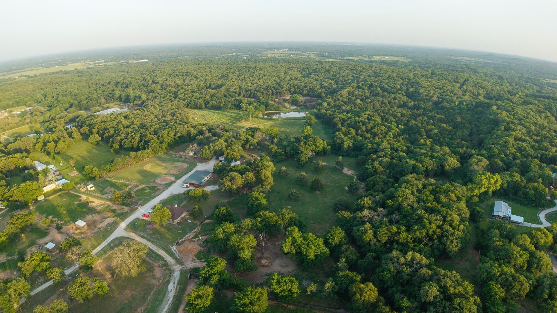 123.16 acres in Cooke County gallery image 3