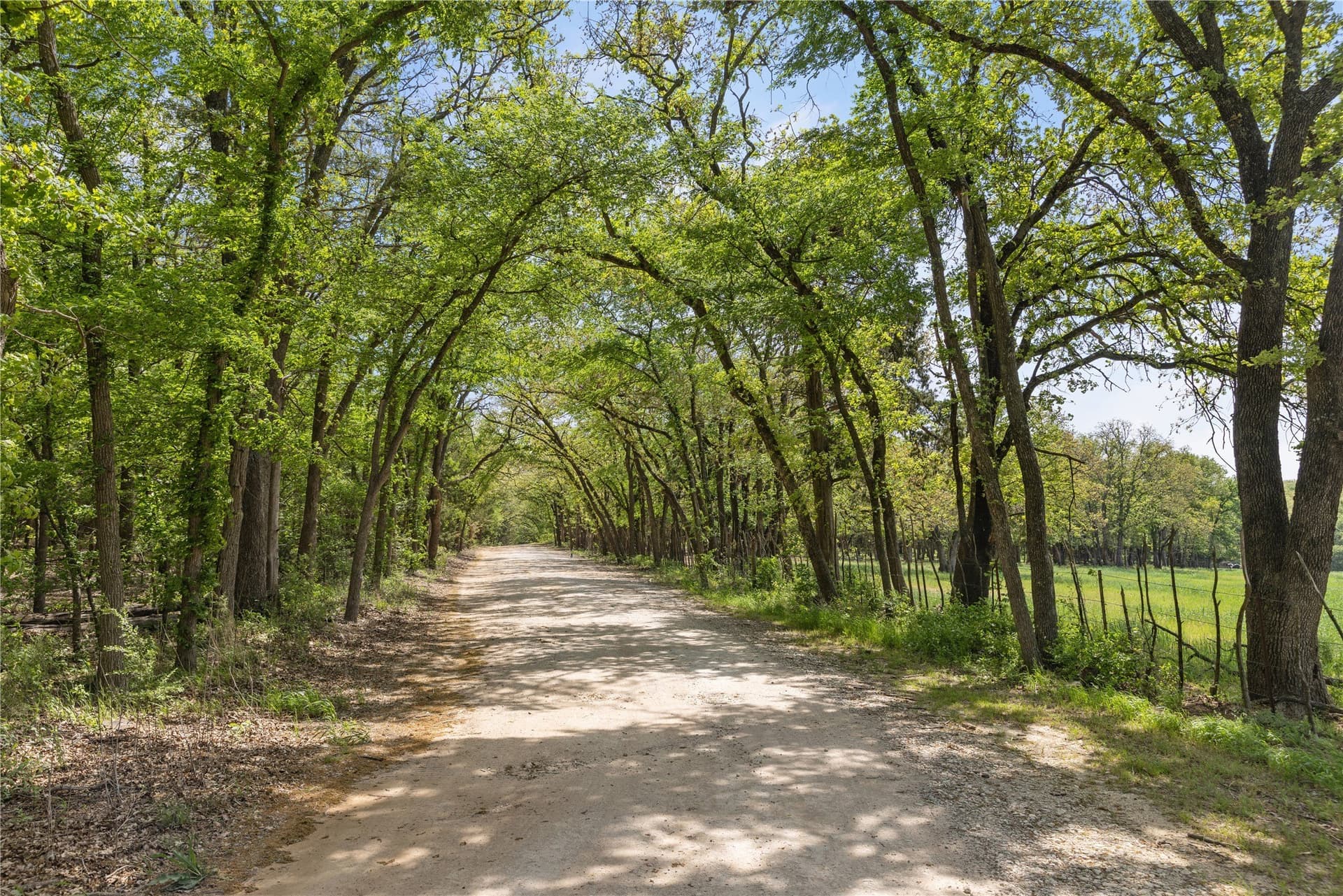 123.16 acres in Cooke County - photo 20