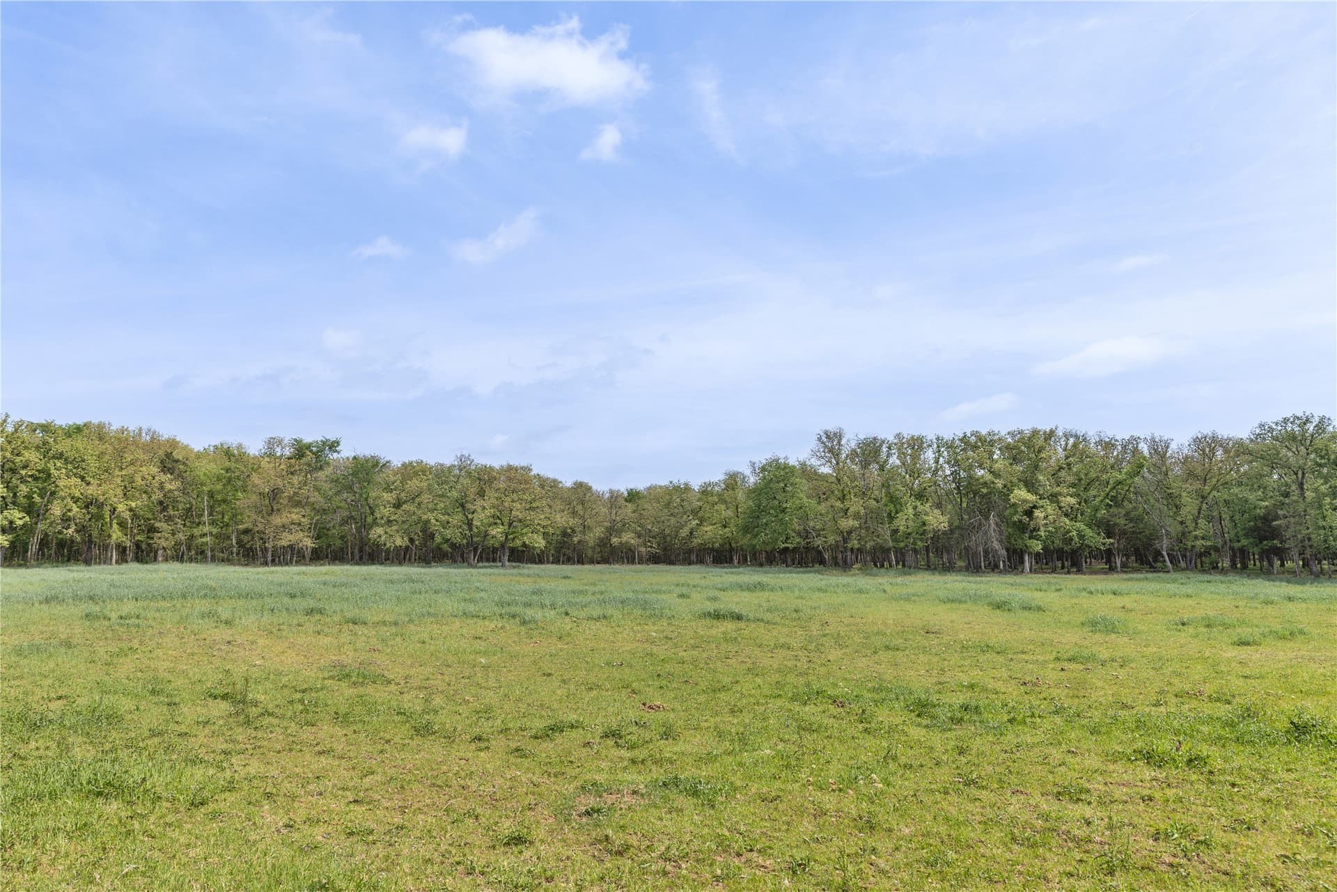 123.16 acres in Cooke County - photo 24