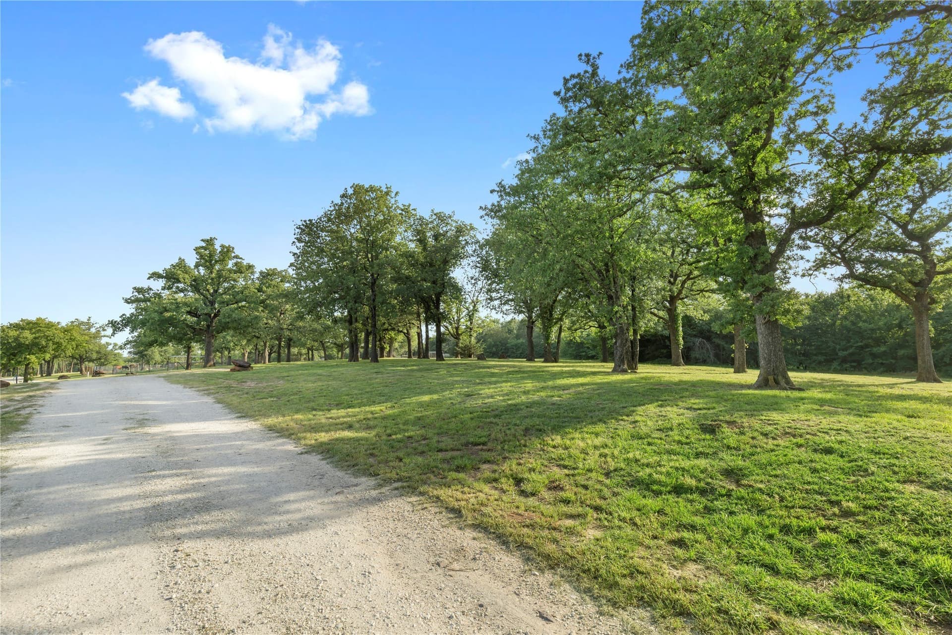 123.16 acres in Cooke County - photo 10