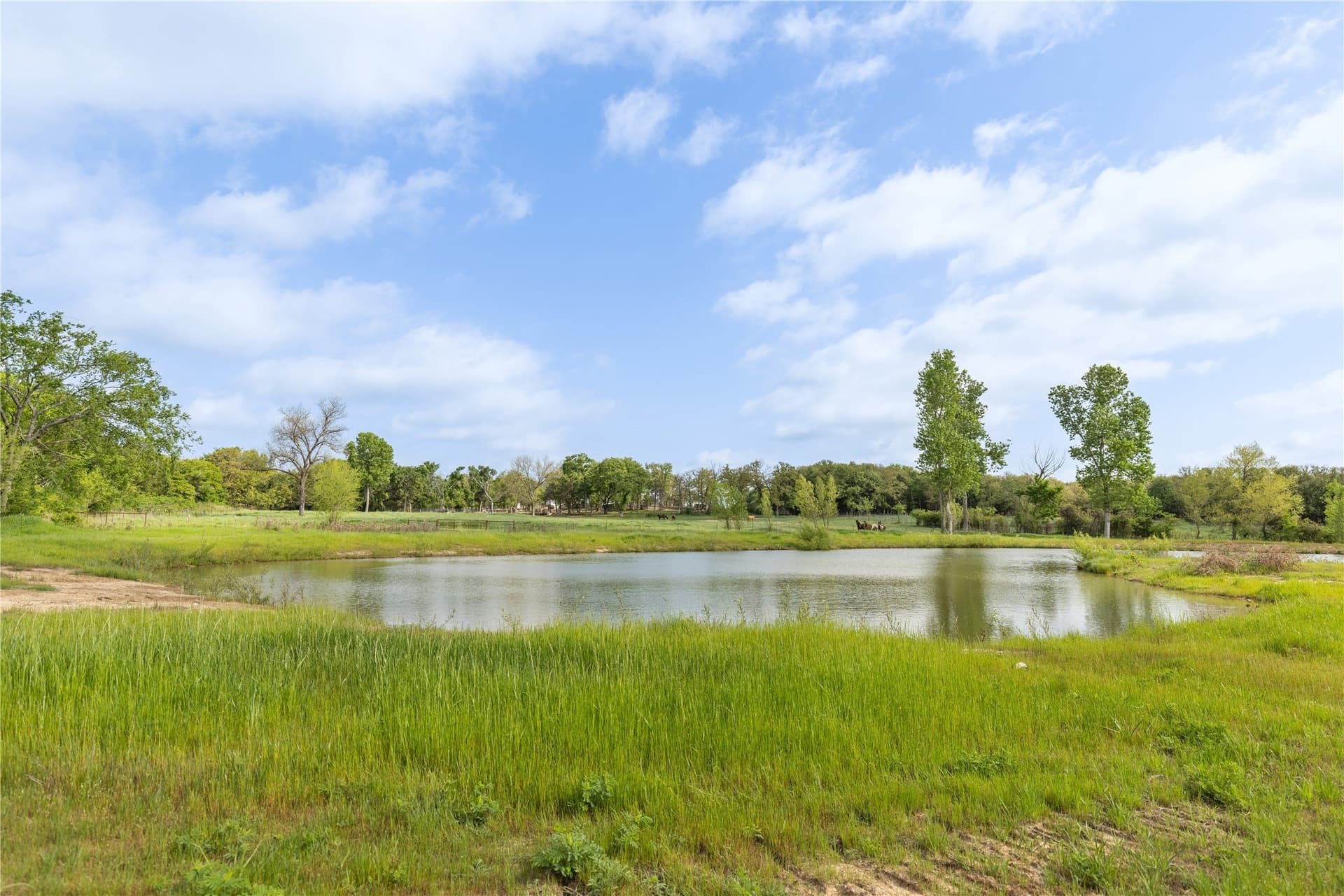 123.16 acres in Cooke County - photo 21