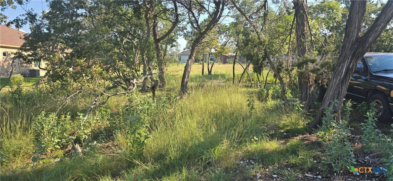 0.34 acres in Bell County gallery image 3