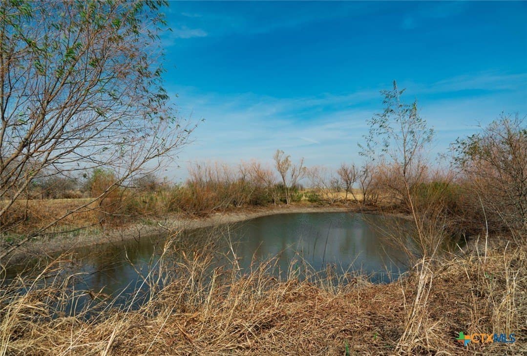 116.68 acres in Travis County - photo 25