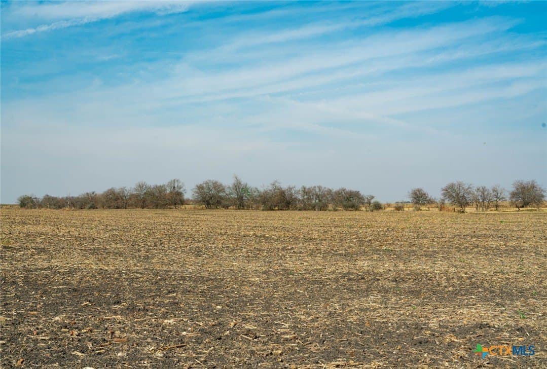 116.68 acres in Travis County - photo 9