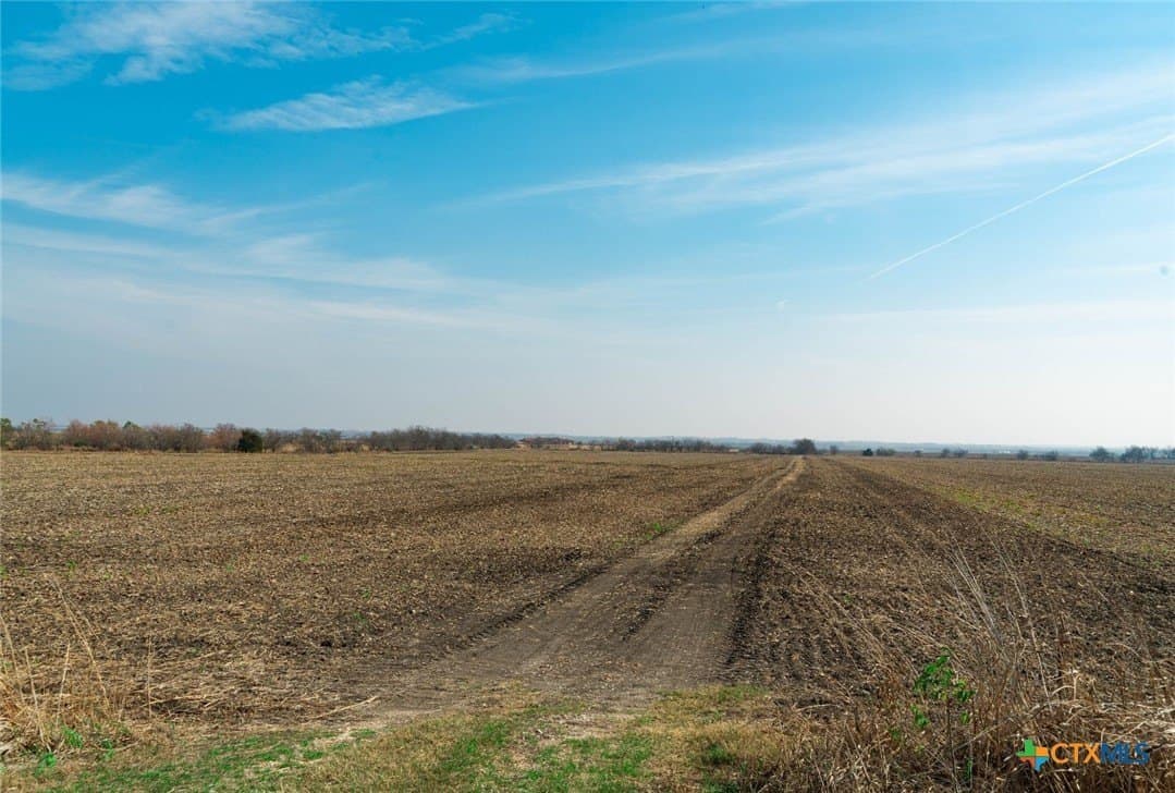 116.68 acres in Travis County - photo 11