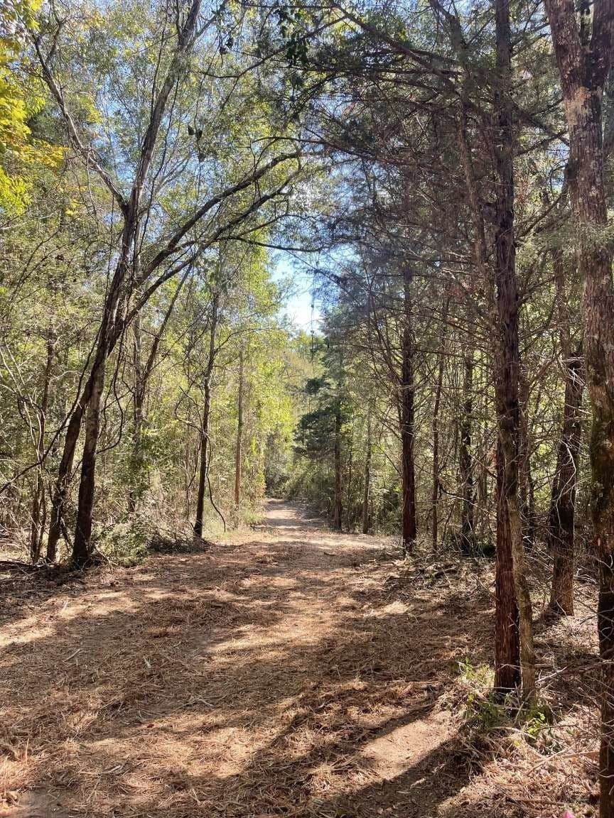 48.29 acres in Cherokee County gallery image 4