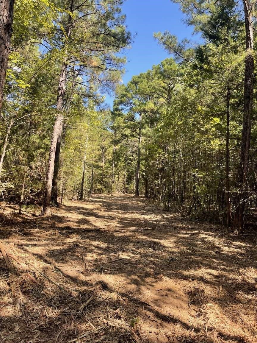 48.29 acres in Cherokee County featured view