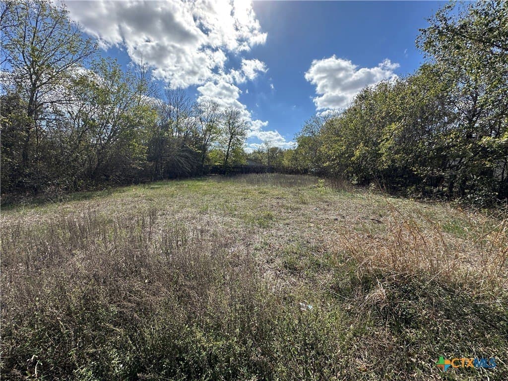 0.23 acres in Bastrop County gallery image 2