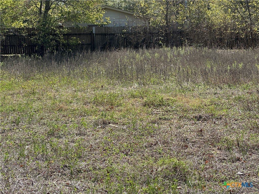 0.23 acres in Bastrop County gallery image 3