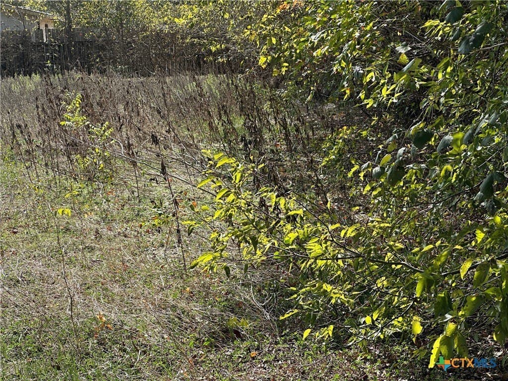 0.23 acres in Bastrop County featured view