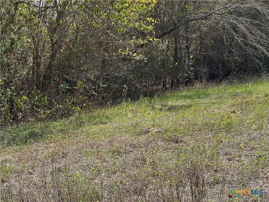 0.23 acres in Bastrop County gallery image 4