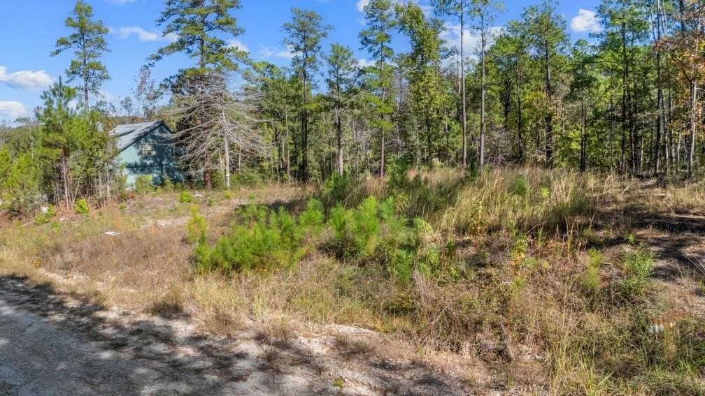 0.37 acres in Texas County gallery image 2