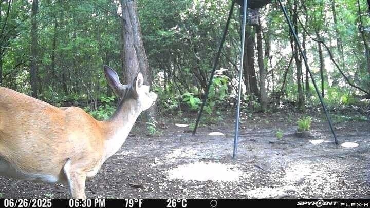 18.78 acres in Freestone County featured view