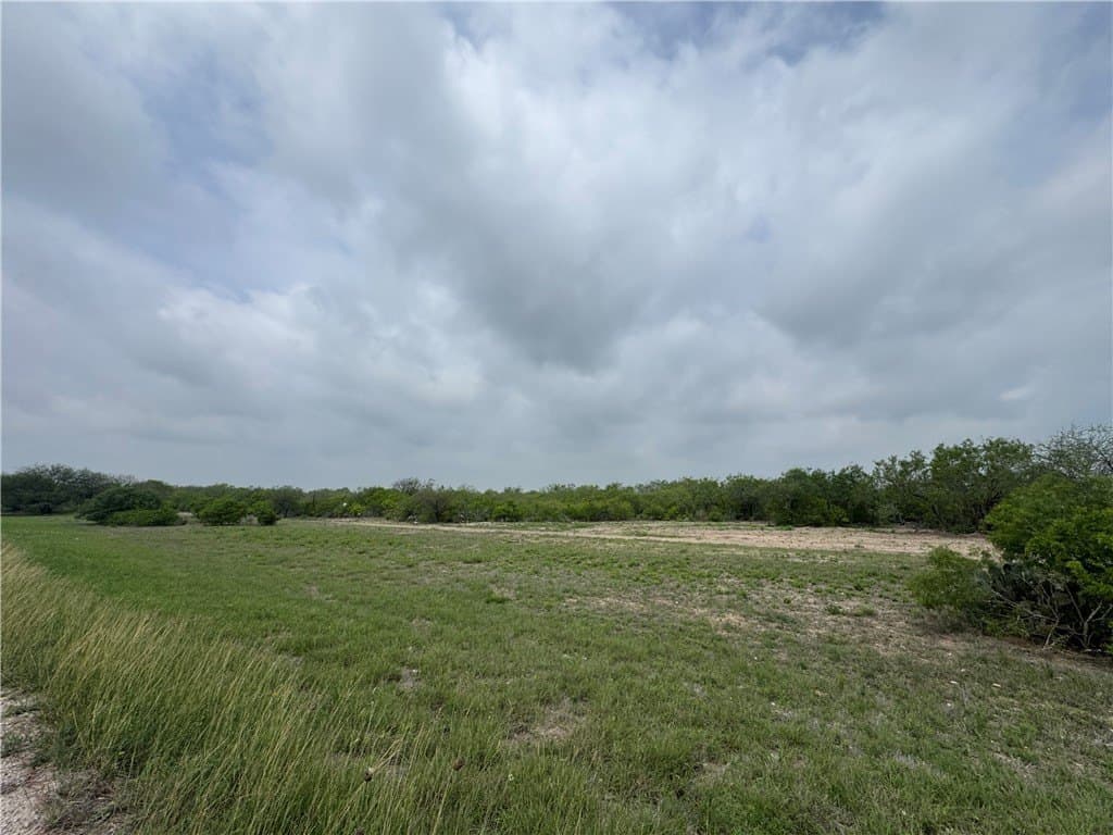 12 acres in Jim Wells County gallery image 4