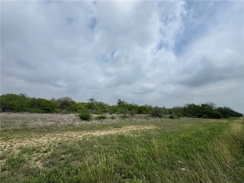 12 acres in Jim Wells County gallery image 2