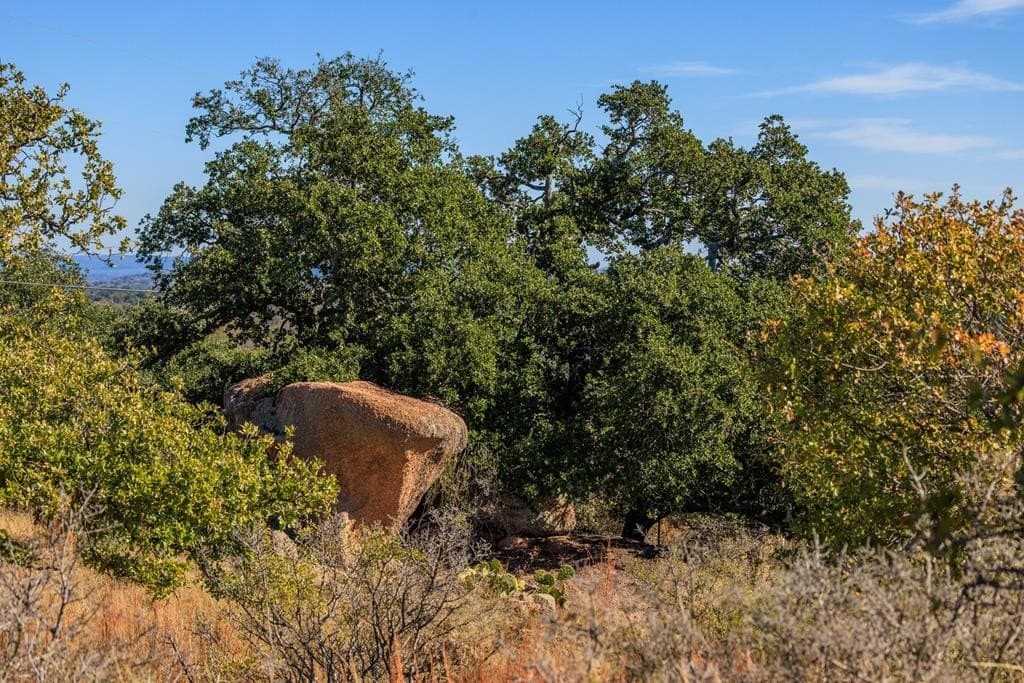 58.6 acres in Llano County - photo 7