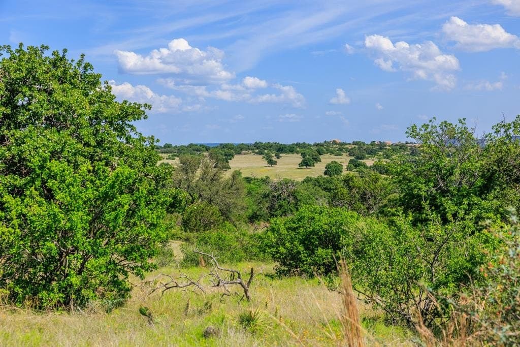 58.6 acres in Llano County - photo 28