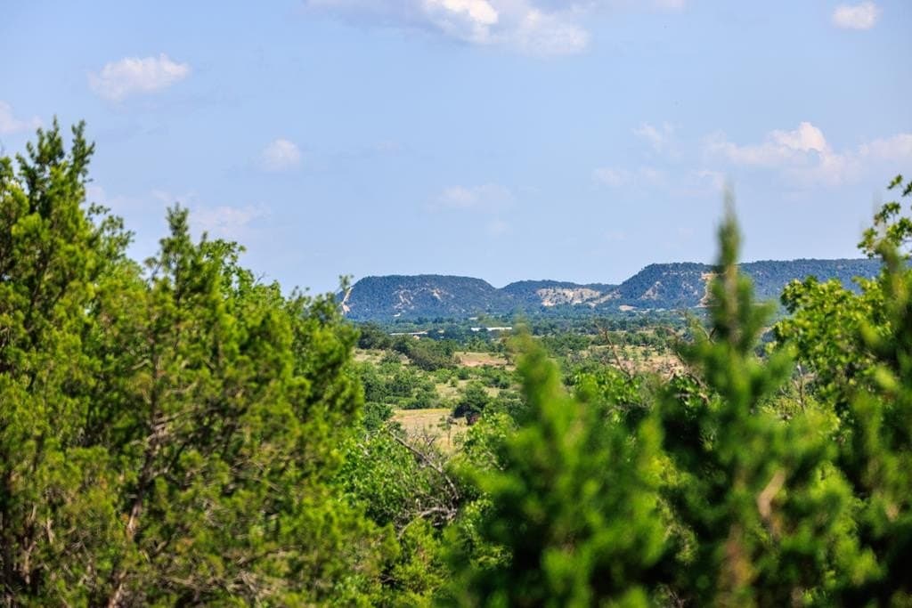 58.6 acres in Llano County - photo 27