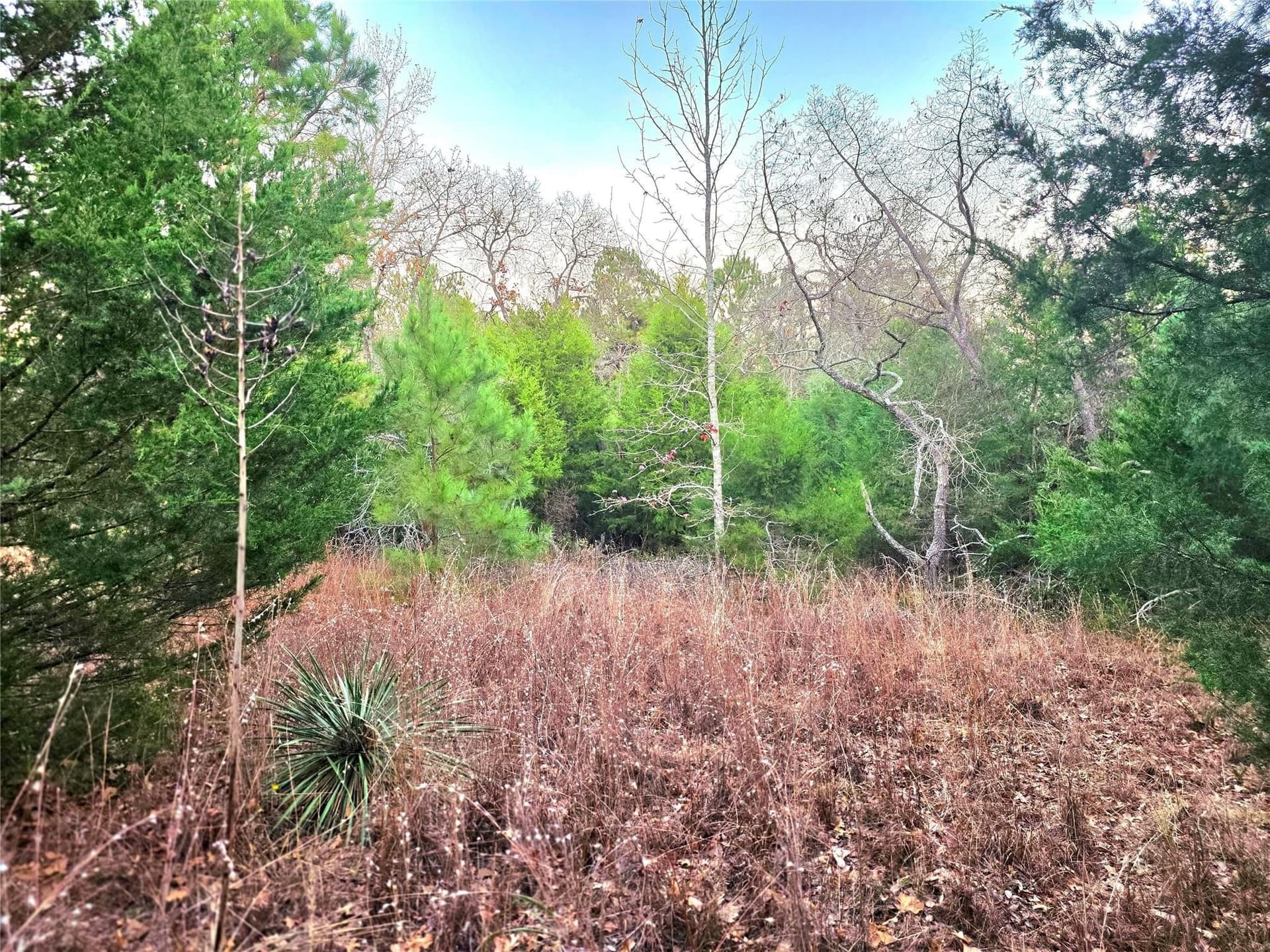 2.01 acres in Henderson County featured view