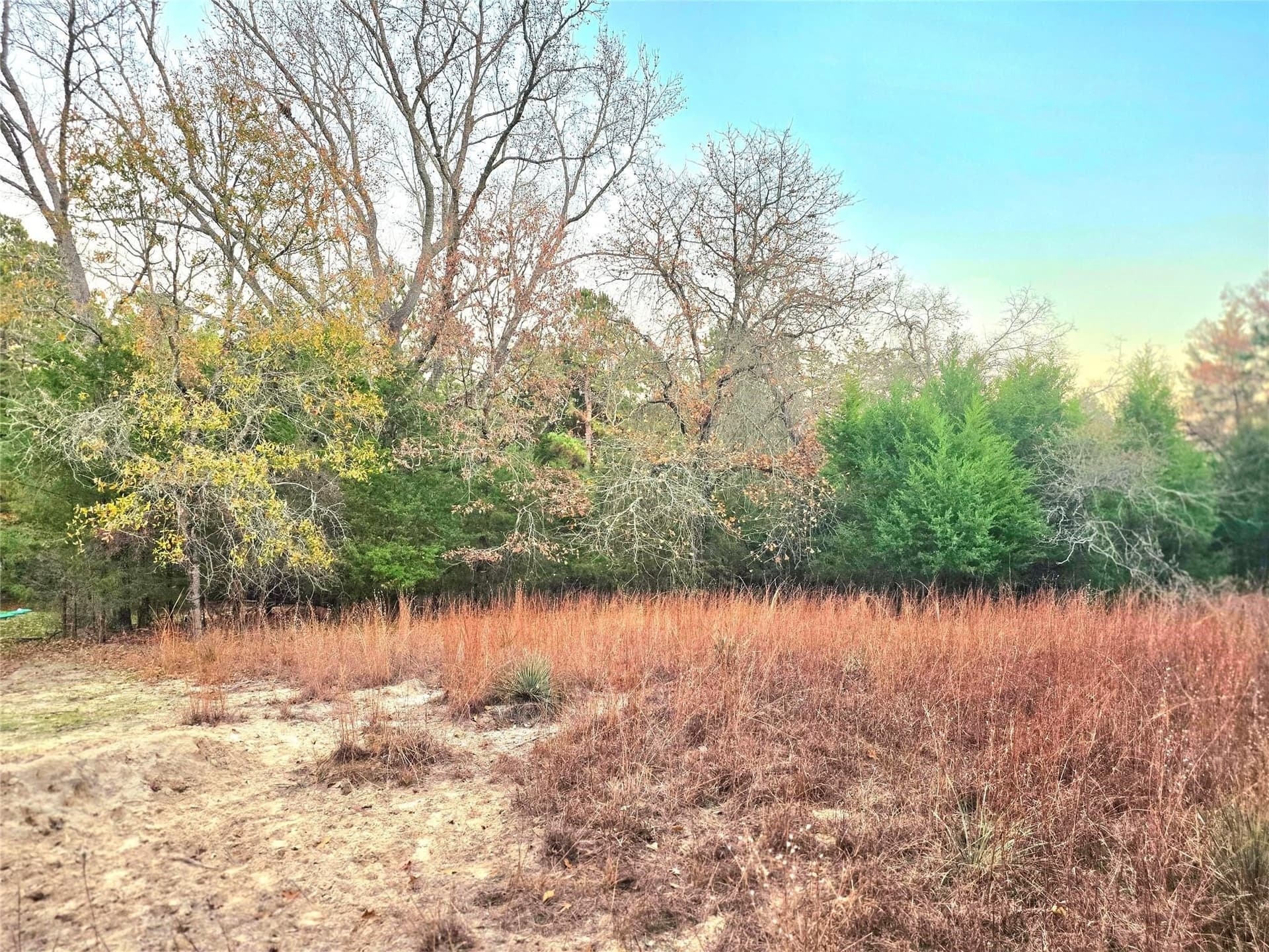 2.01 acres in Henderson County gallery image 3