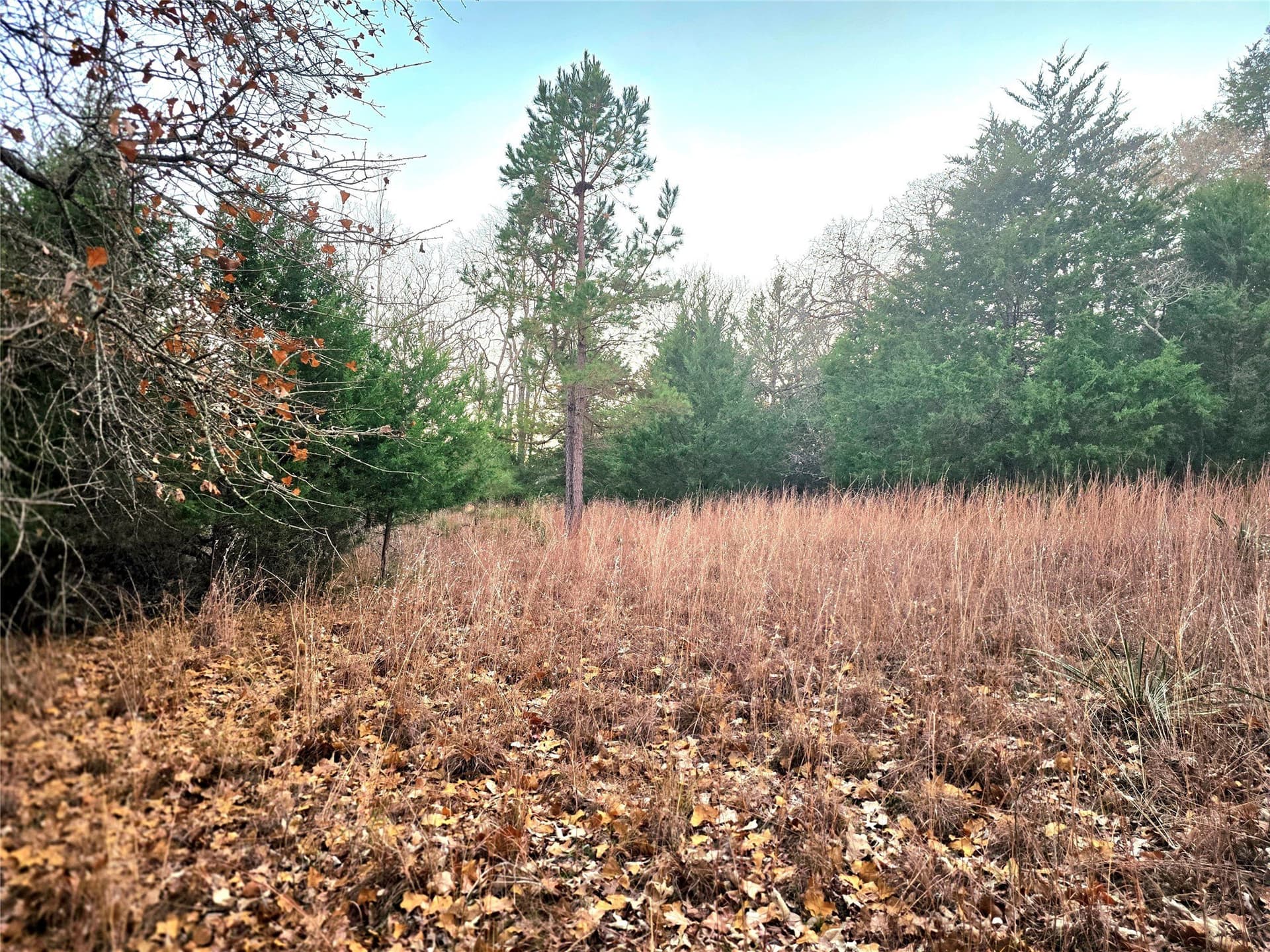 2.01 acres in Henderson County - photo 39