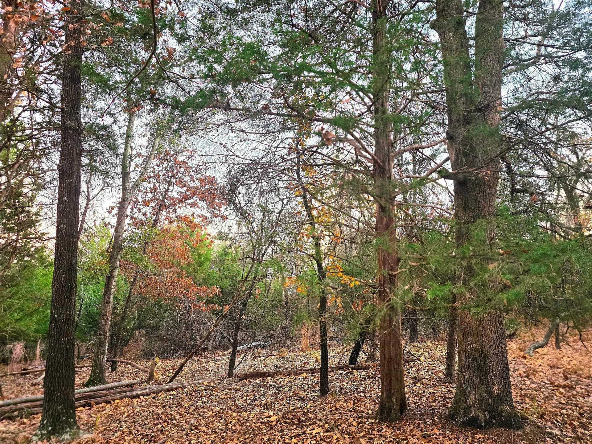 2.01 acres in Henderson County - photo 6