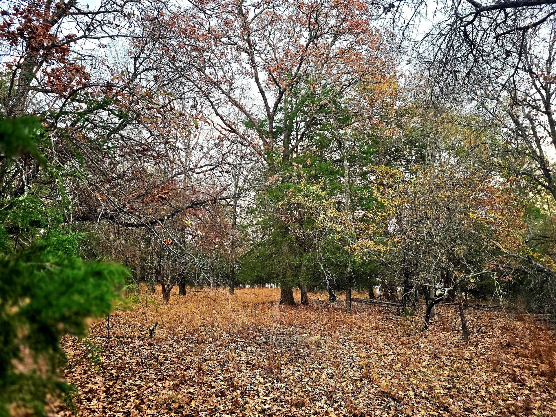 2.01 acres in Henderson County - photo 7