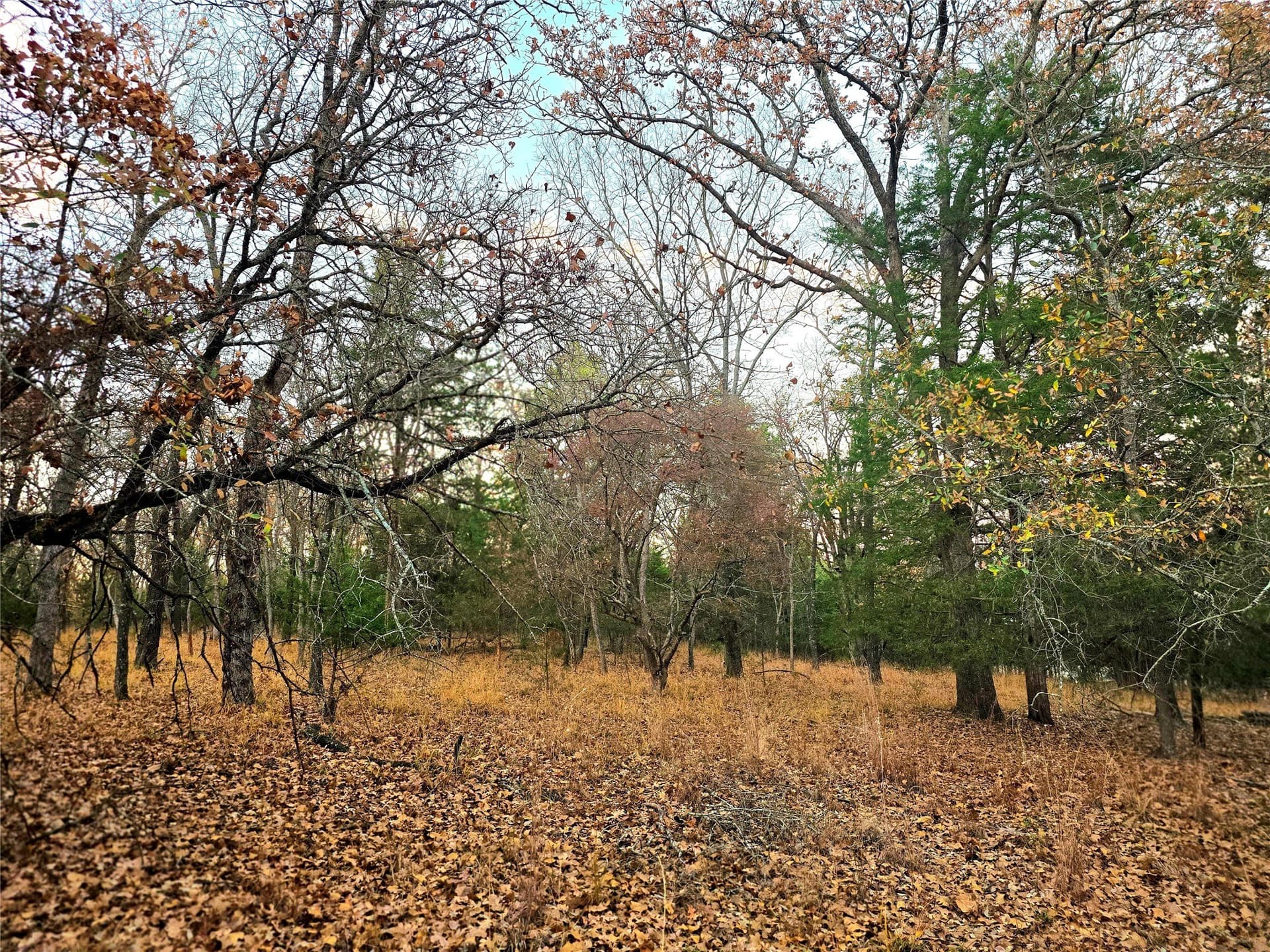 2.01 acres in Henderson County - photo 8