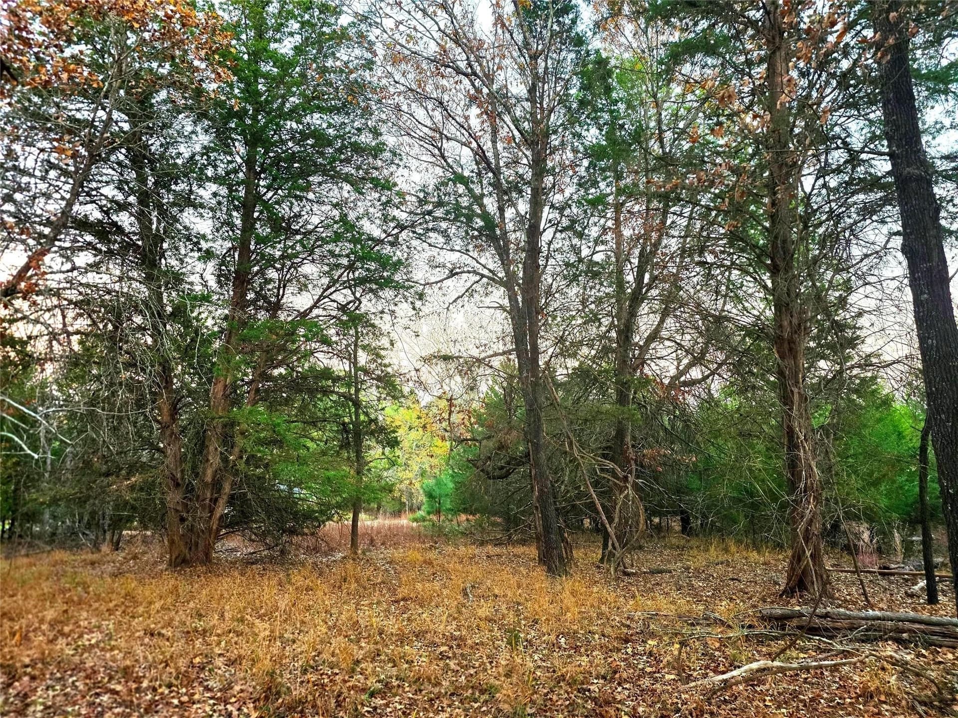 2.01 acres in Henderson County - photo 31