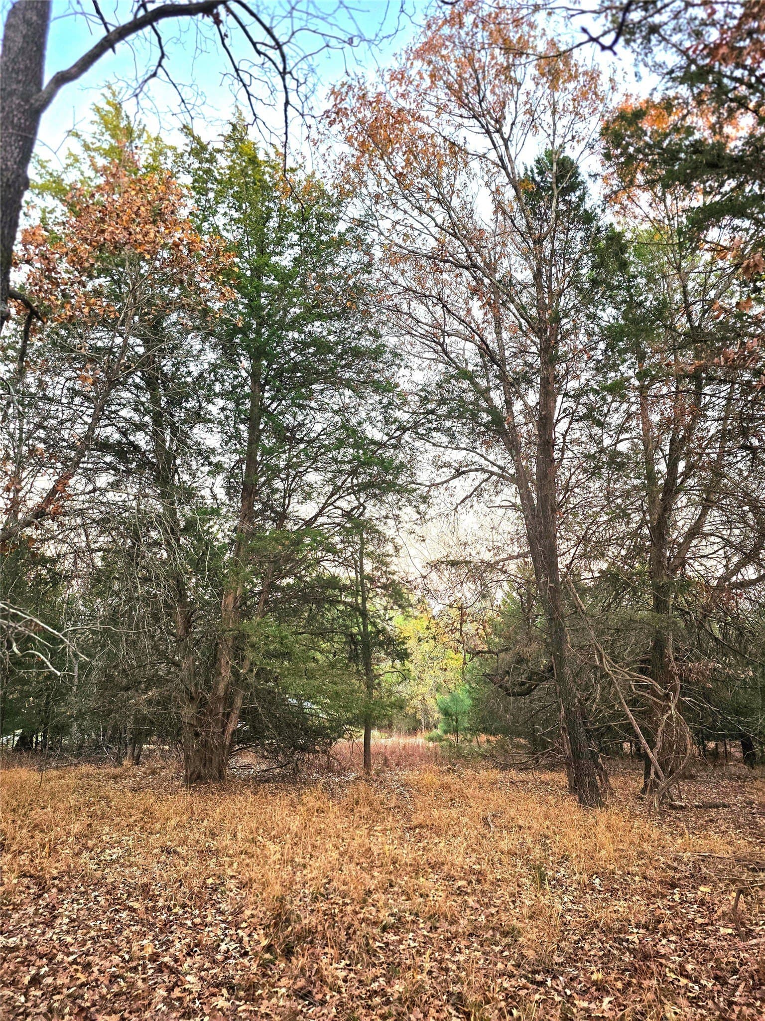 2.01 acres in Henderson County - photo 33